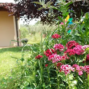 Bed & Breakfast A La Maison, Reggello